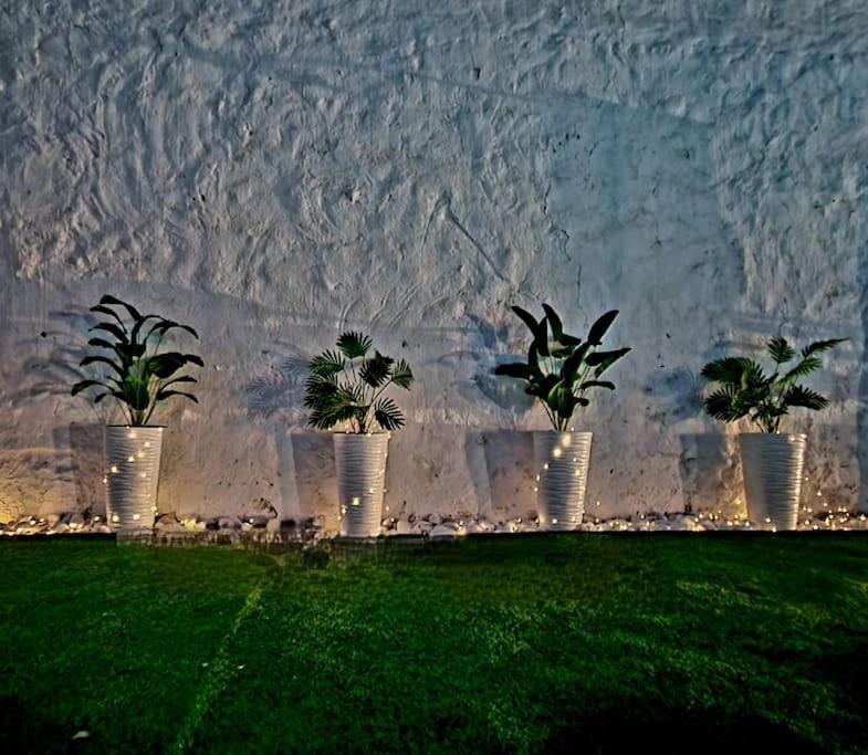 La Casa Del Arbol Villa Fuentiduena de Tajo Eksteriør bilde