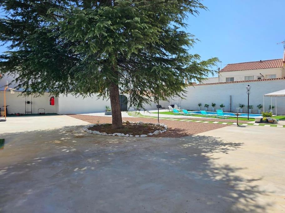 La Casa Del Arbol Villa Fuentiduena de Tajo Eksteriør bilde